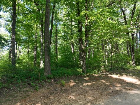 31 Highline Drive Ellijay GA 30536