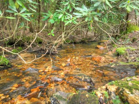 1696 Rocky Top Road Blairsville GA 30512