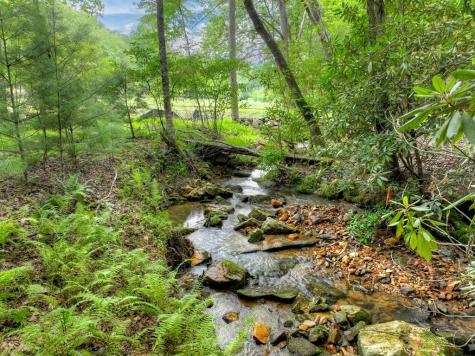 1696 Rocky Top Road Blairsville GA 30512