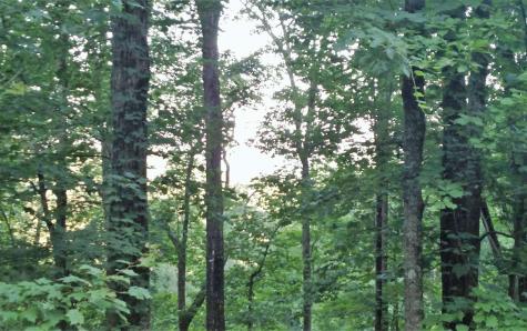 2 Oak Ridge South Hayesville NC 28904
