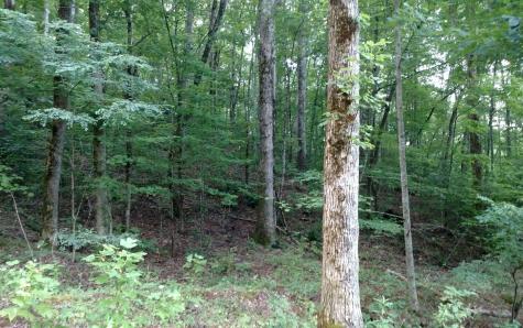 2 Oak Ridge South Hayesville NC 28904