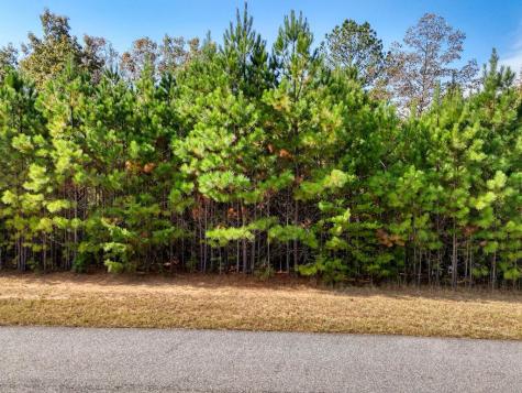 Lot 43 Water Oak Lane Blairsville GA 30512