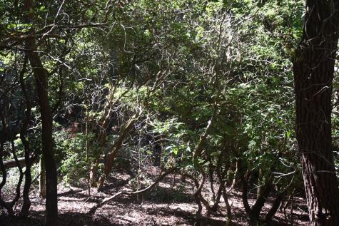 Lot 3 Riverbend Trail Hayesville NC 20894