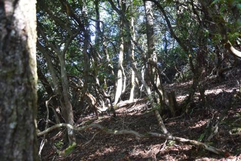 Lot 3 Riverbend Trail Hayesville NC 20894