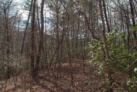 Lot 3 Riverbend Trail Hayesville NC 20894