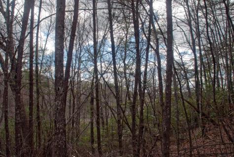 Lot 3 Riverbend Trail Hayesville NC 20894