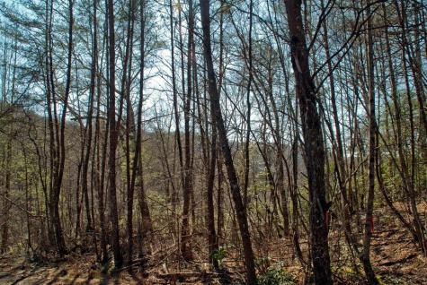 Lot 3 Riverbend Trail Hayesville NC 20894