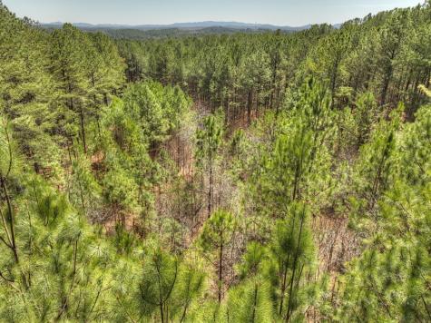 40 & 41 Blue Bird Trail Copperhill TN 37317