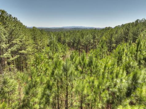 40 & 41 Blue Bird Trail Copperhill TN 37317