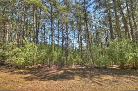 40 & 41 Blue Bird Trail Copperhill TN 37317