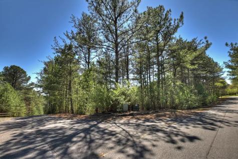 40 & 41 Blue Bird Trail Copperhill TN 37317
