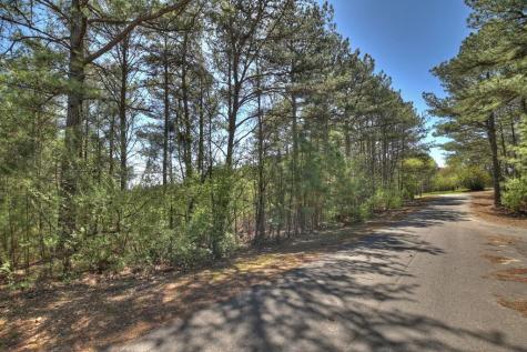 40 & 41 Blue Bird Trail Copperhill TN 37317