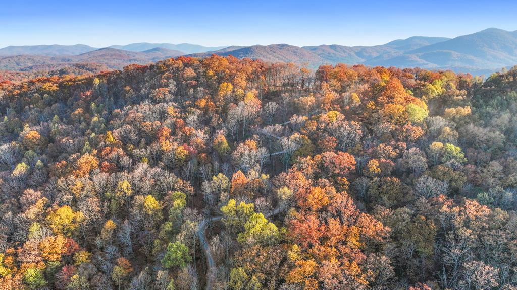 Lot 4 Wilderness Way Blue Ridge GA 30513