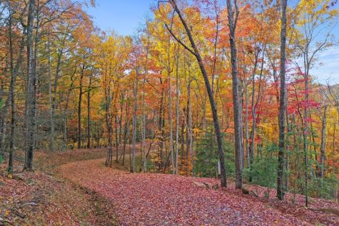 Lot 4 Wilderness Way Blue Ridge GA 30513