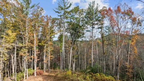 Lot 4 Wilderness Way Blue Ridge GA 30513