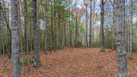 Lot 4 Wilderness Way Blue Ridge GA 30513