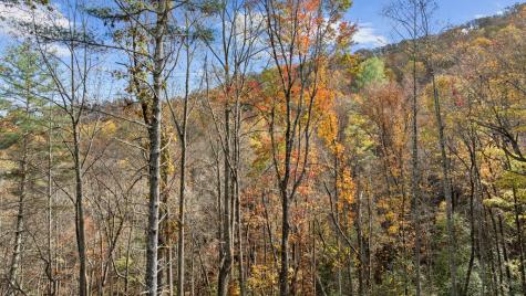 Lot 4 Wilderness Way Blue Ridge GA 30513