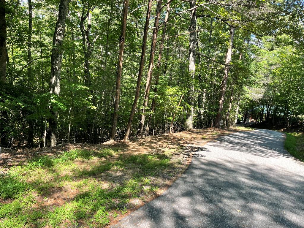 0 Rizzitello Lane Blairsville GA 30512