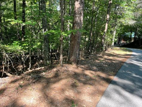 0 Rizzitello Lane Blairsville GA 30512