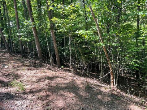 0 Rizzitello Lane Blairsville GA 30512