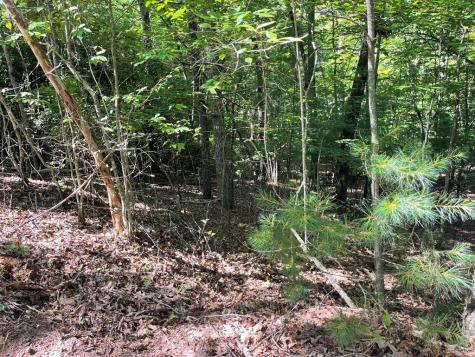 0 Rizzitello Lane Blairsville GA 30512