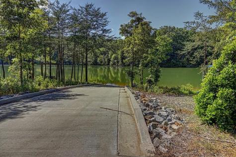 Lot 44 Bayside Lane Blairsville GA 30512