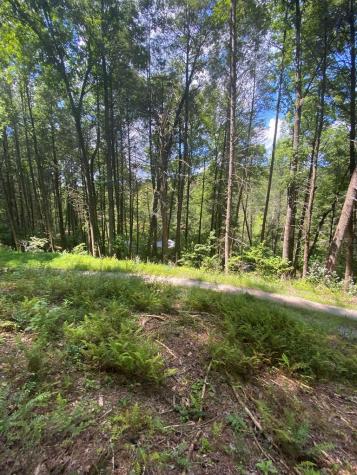 500 Hemlock Trail Blue Ridge GA 30513