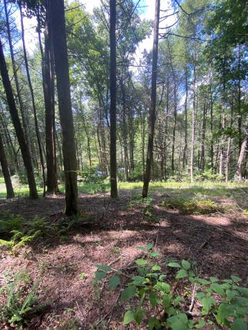 500 Hemlock Trail Blue Ridge GA 30513