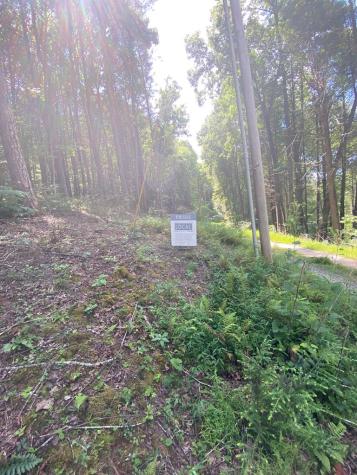 500 Hemlock Trail Blue Ridge GA 30513