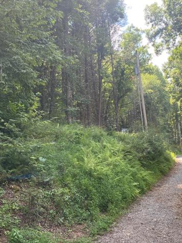 500 Hemlock Trail Blue Ridge GA 30513