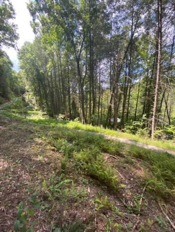 500 Hemlock Trail Blue Ridge GA 30513