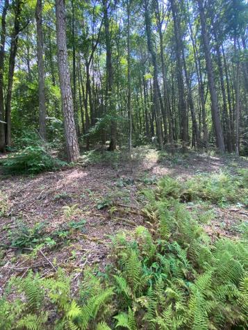 500 Hemlock Trail Blue Ridge GA 30513