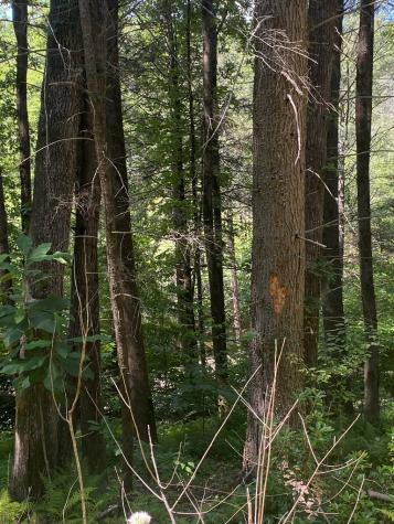 500 Hemlock Trail Blue Ridge GA 30513