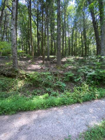 500 Hemlock Trail Blue Ridge GA 30513