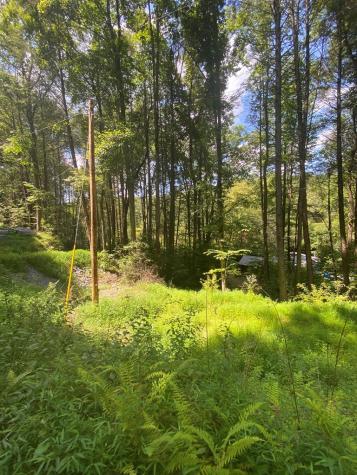 500 Hemlock Trail Blue Ridge GA 30513