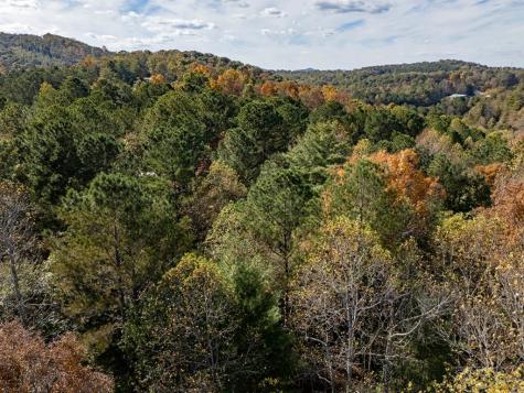 L21 & 22 Eastridge Court Blairsville GA 30512