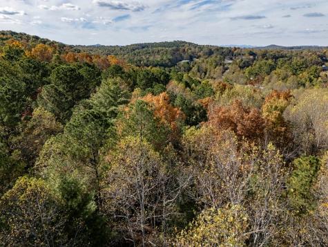 L21 & 22 Eastridge Court Blairsville GA 30512