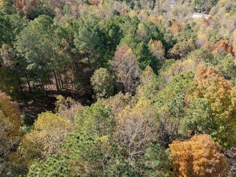 L21 & 22 Eastridge Court Blairsville GA 30512