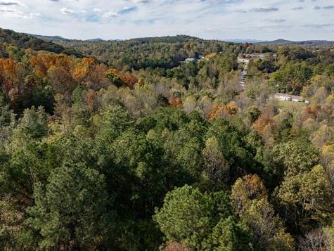 L21 & 22 Eastridge Court Blairsville GA 30512