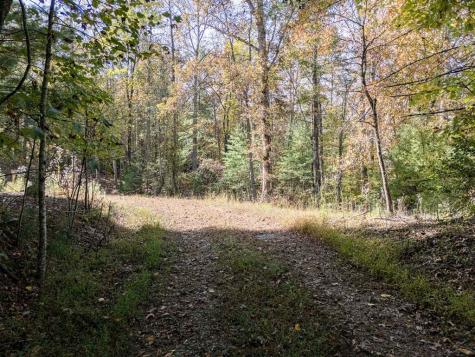 L21 & 22 Eastridge Court Blairsville GA 30512