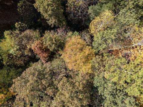 L21 & 22 Eastridge Court Blairsville GA 30512