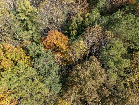 L21 & 22 Eastridge Court Blairsville GA 30512