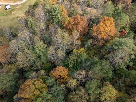 L21 & 22 Eastridge Court Blairsville GA 30512