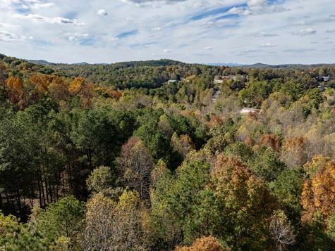 L21 & 22 Eastridge Court Blairsville GA 30512