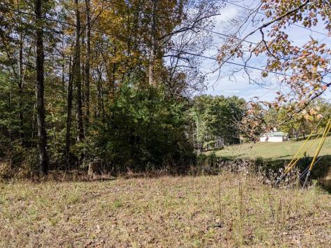 L21 & 22 Eastridge Court Blairsville GA 30512