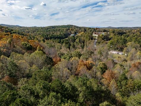 L21 & 22 Eastridge Court Blairsville GA 30512