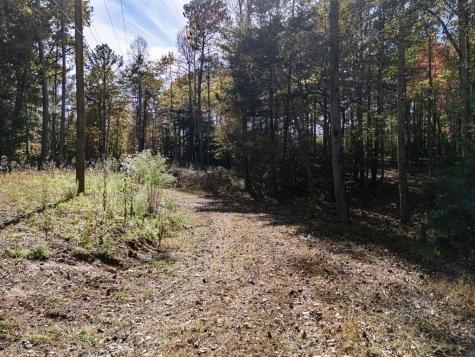 L21 & 22 Eastridge Court Blairsville GA 30512