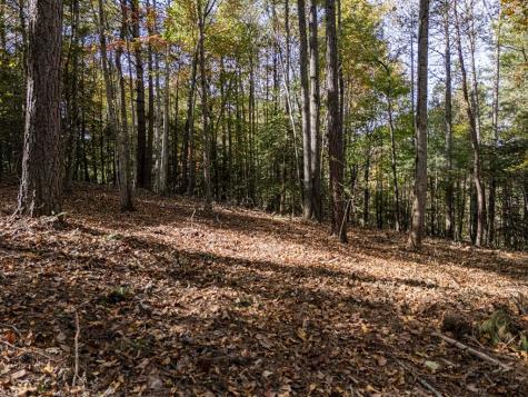 L21 & 22 Eastridge Court Blairsville GA 30512