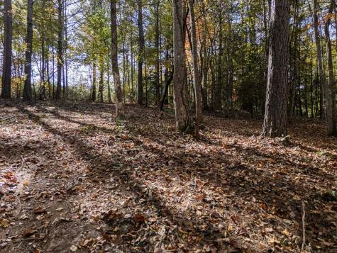 L21 & 22 Eastridge Court Blairsville GA 30512