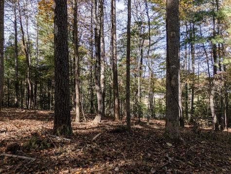 L21 & 22 Eastridge Court Blairsville GA 30512